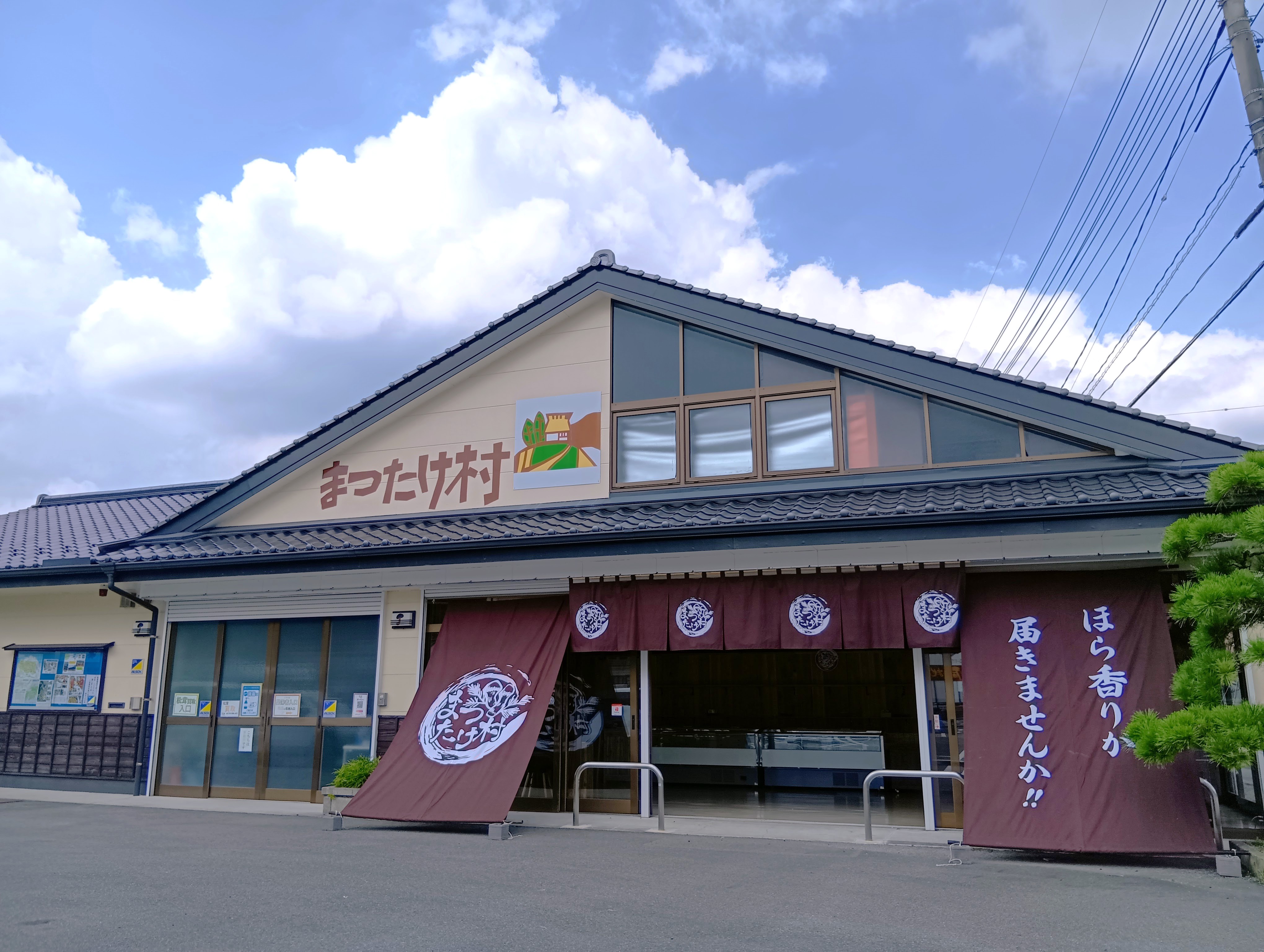 取扱量日本一 国内産松茸専門問屋